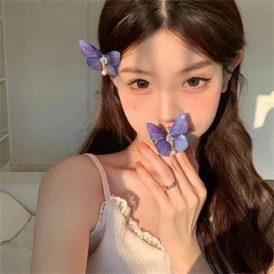 泰迪熊2